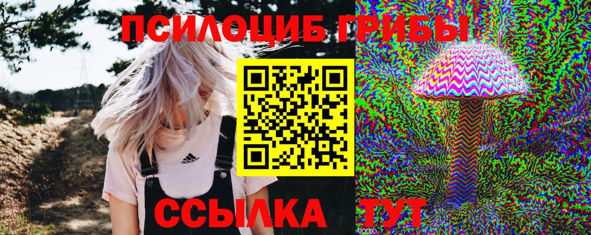 Среднеуральск  Галлюциногенные грибы Magic Shrooms  Галлюциногенные грибы мухоморы  Вход с VPN 