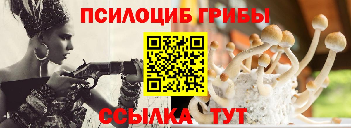 Галлюциногенные грибы MAGIC MUSHROOMS Среднеуральск